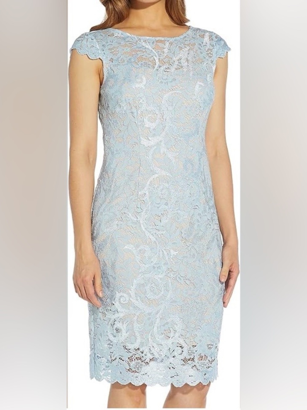 Adrianna Papell Embroidered Lace Sheath Dress